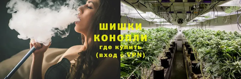 цены   Ветлуга  Бошки Шишки SATIVA & INDICA 